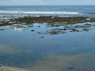 Mare basse