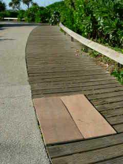 Jardins de la plage