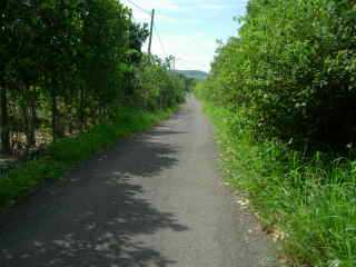 Chemin goudronn
