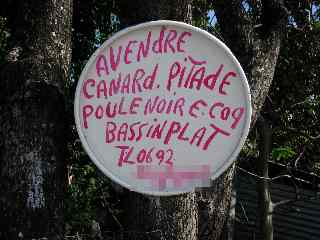 Canard  vendre