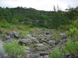 Remonte du Bras de Cilaos