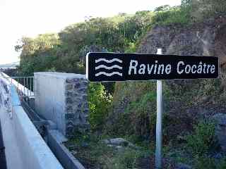 Ravine Coctre