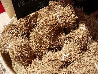 Racines de vtiver