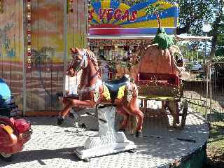 Braderie de St-Pierre - janvier 2011