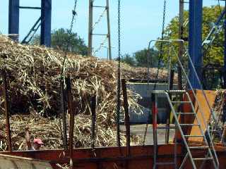 Casernes - St-Pierre - Dchargement d'une remorque charge de cannes