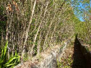 Bras de Cilaos -  Canal des Alos vers l'amont
