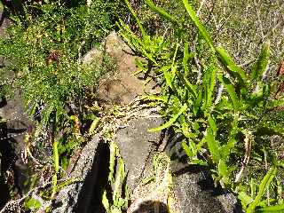 Bras de Cilaos -  Canal des Alos vers l'amont - Rempart