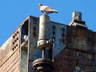 Grands Bois - Ancienne usine sucrire rhabilite