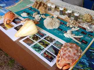 18 novembre 2012 - Route des Tamarins libre - Stand Parc marin
