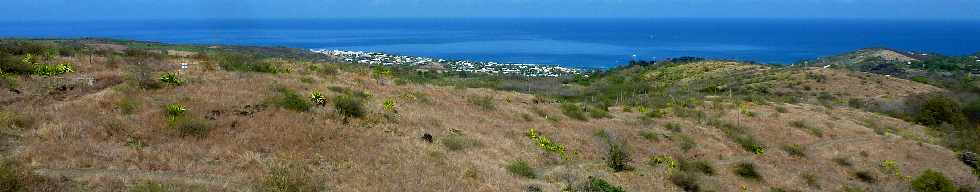 18 novembre 2012 - Route des Tamarins libre -  St-Gilles