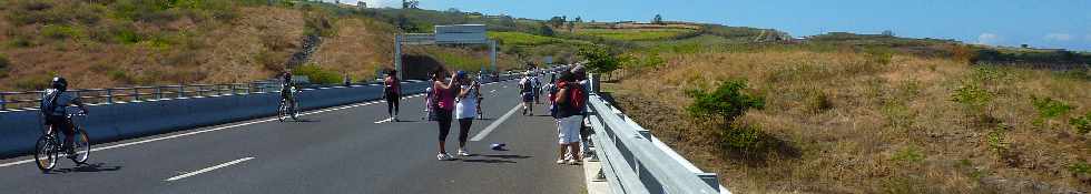 18 novembre 2012 - Route des Tamarins libre -