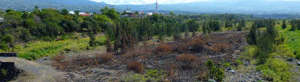 St-Pierre - Rivire St-Etienne - Incendies