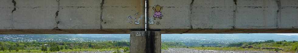 Rivire St-Etienne - Gouzou de Jace - janvier 2013 -