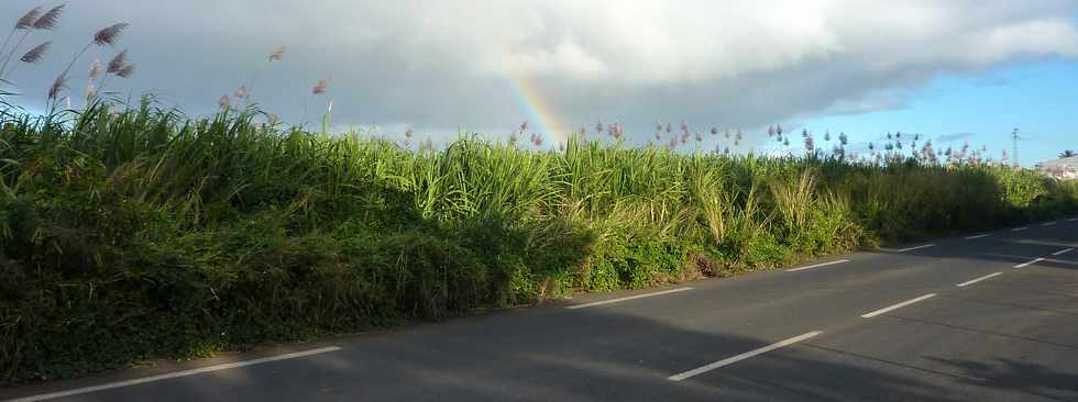 Ligne Paradis -Arc-en-ciel