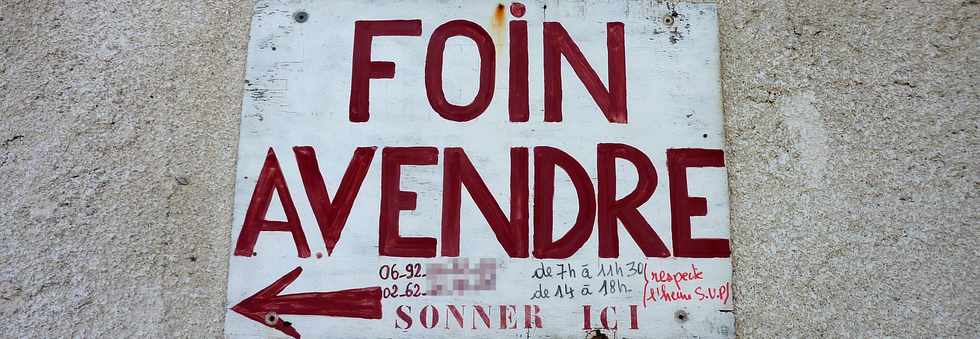 Foin  vendre