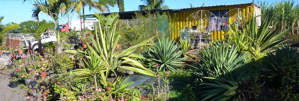 St-Pierre - Jardi Pierrefonds - Des plantes au meilleur prix -