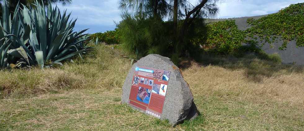 Juillet 2013 - St-Pierre - Pointe du Diable - Projet Gol Matisse -
