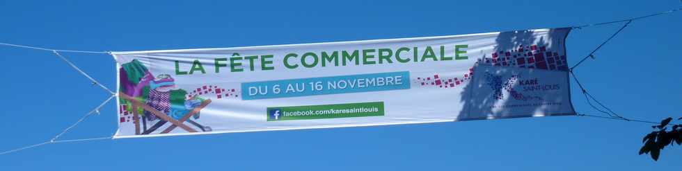 10 nov 2013 - St-Louis - Fte commerciale