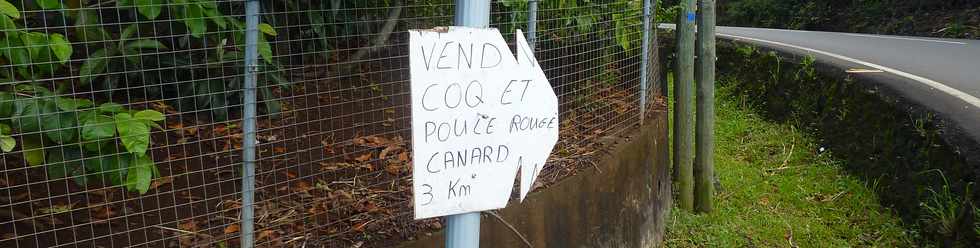 1er dcembre 2013 - St-Pierre - Vente coq, poule ...