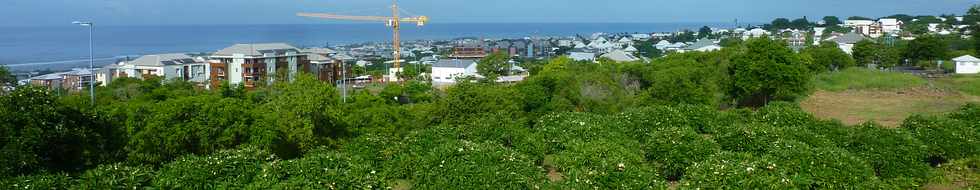 9 fvrier 2014 - St-Pierre - ZAC Ocan indien