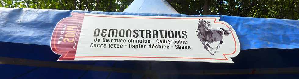 9 fvrier 2014 - St-Pierre - Village chinois - Wong Wa