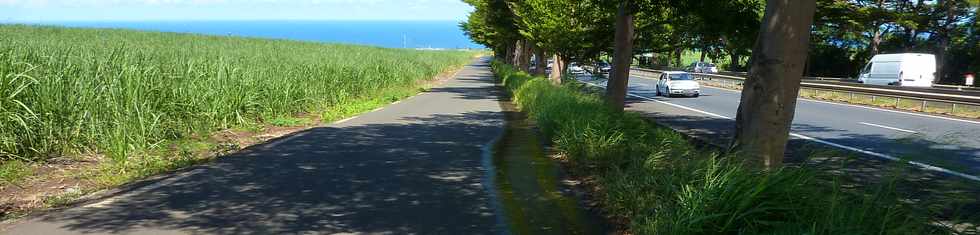 Mars 2014 - St-Pierre - Voie cannire