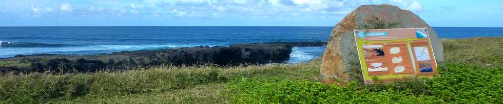 20 avril 2014 - St-Pierre - Pointe du Diable