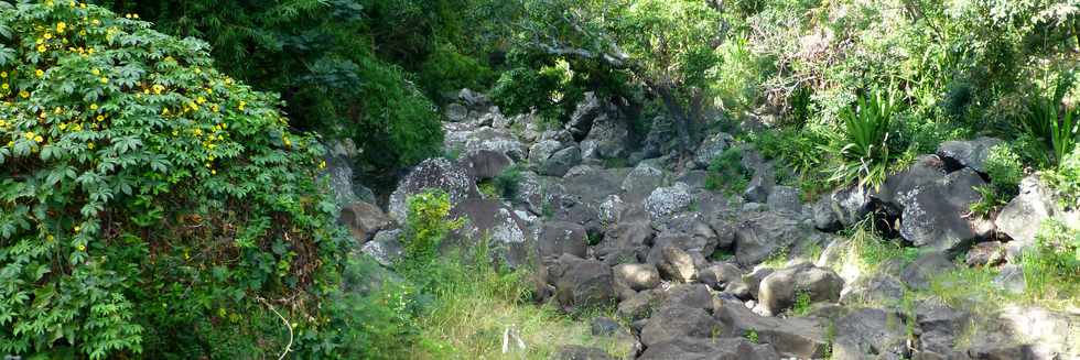 2 mai 2014 - St-Paul - Bellemne - Ravine Divon