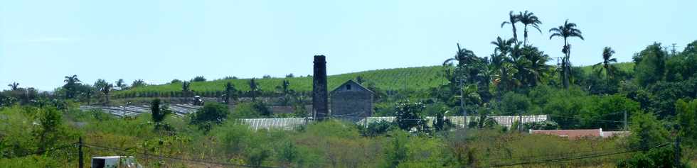 Saint-Paul  vlo - 2 mai 2014 - Ancienne usine sucrire