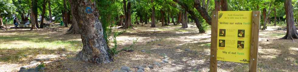 Saint-Paul  vlo - 2 mai 2014 - Fort domaniale