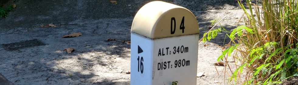 9 mai 2014 - St-Paul - Alt. 340 m