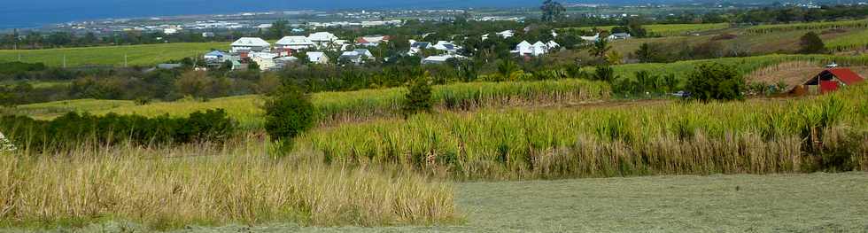 3 octobre 2014 - St-Pierre - Chemin Bassin Martin - PK3
