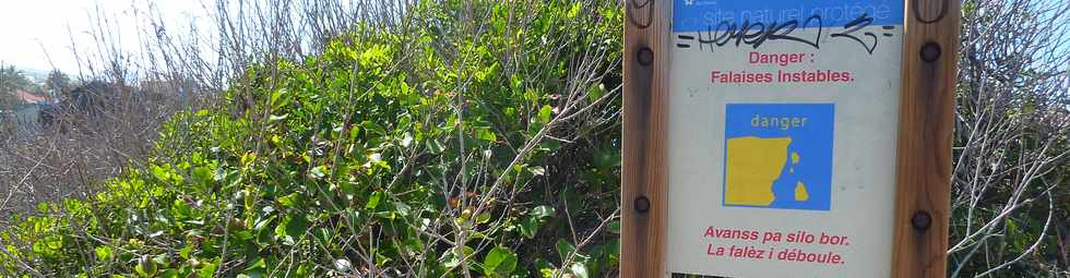 8 octobre 2014 - St-Pierre - Ancienne RN2 - Falaises Bassin 18 -