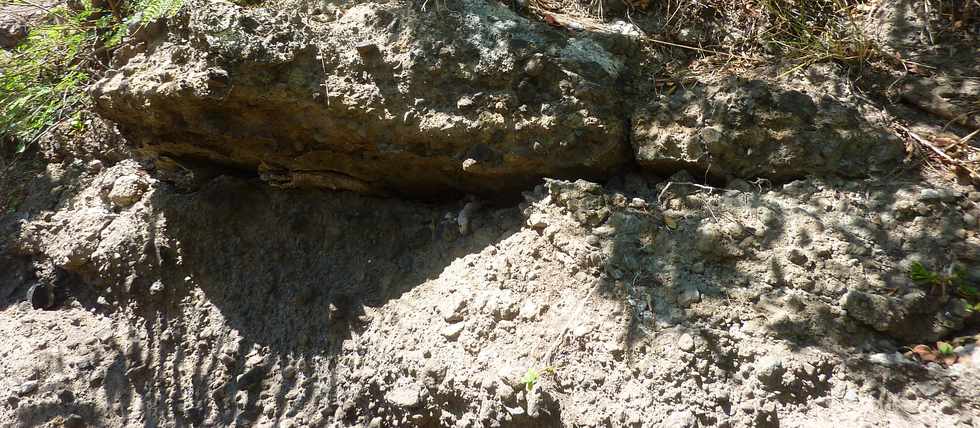 12 octobre 2014 - St-Pierre - Pointe du Diable, un site naturel remarquable - par Olivier Hoarau (Ple valorisation du patrimoine) - Oratoire - Coule ponces et cendres