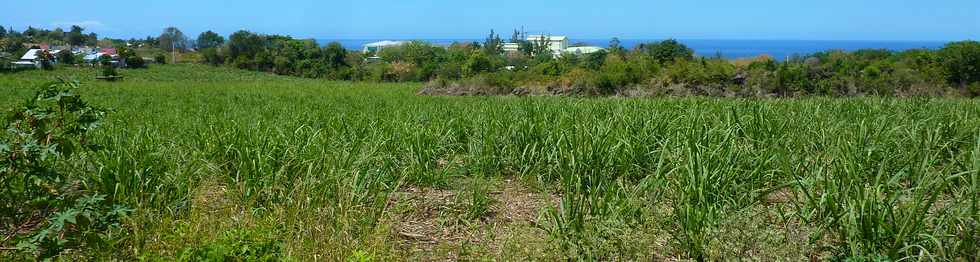 2 novembre 2014 - St-Pierre - Cannes  Frdeline