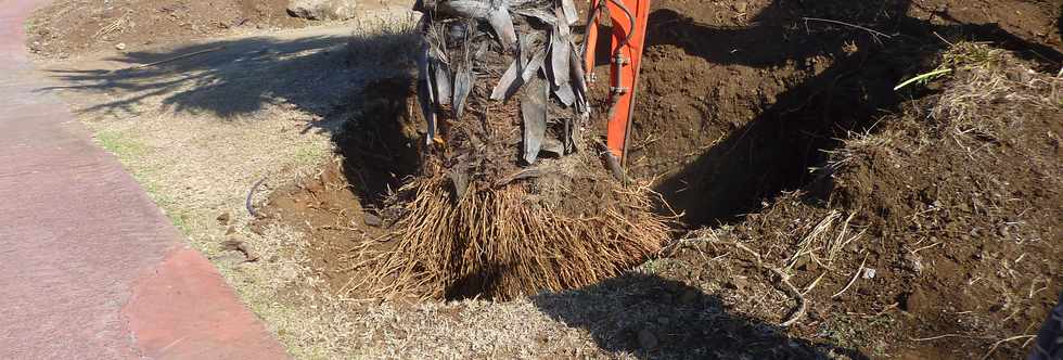 3 dcembre 2014 - St-Pierre - Travaux entre ouest TCSP