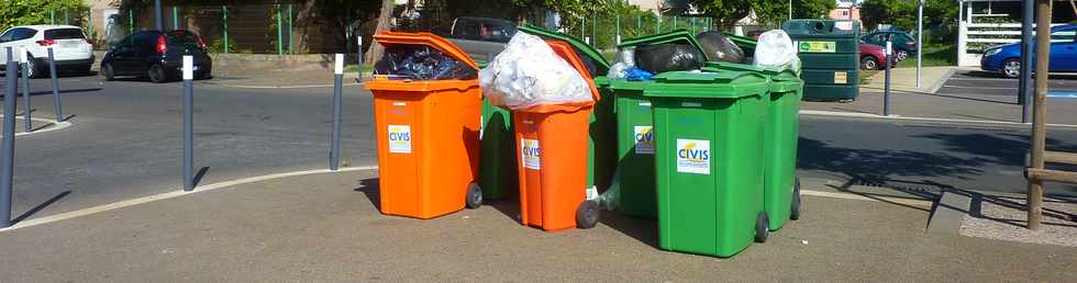 22 mars 2015 - St-Pierre - Ravine Blanche - Poubelles rue Luthuli