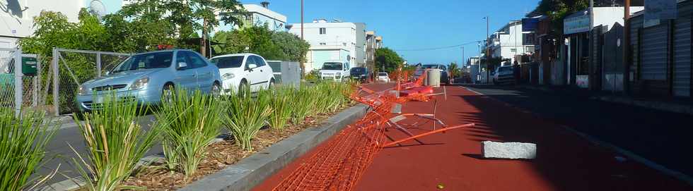 12 avril 2015 - St-Pierre - TCSP rue du Pre Favron