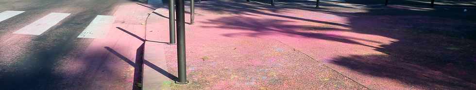 19 avril 2015 - St-Pierre - Holi holi