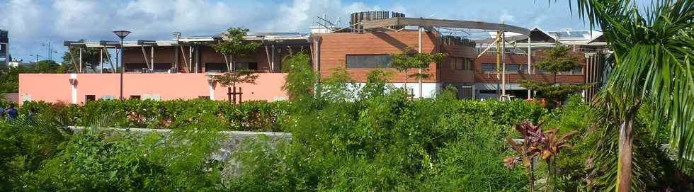 3 mai 2015 - St-Pierre - Ravine Blanche - Chantier nouvelle cole