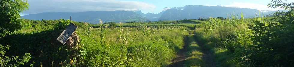 17 mai 2015 - St-Pierre - Chemin Jean Cadet