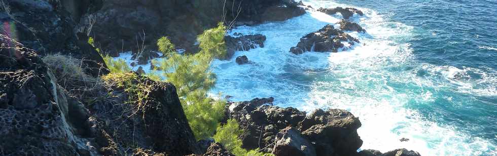 18 juin 2015- St-Pierre - Pointe de la Ravine des Cafres - Espace naturel