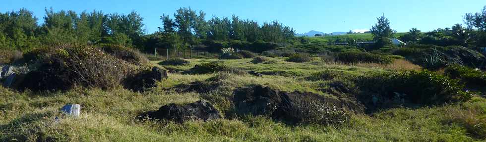 18 juin 2015- St-Pierre - Pointe de la Ravine des Cafres - Espace naturel