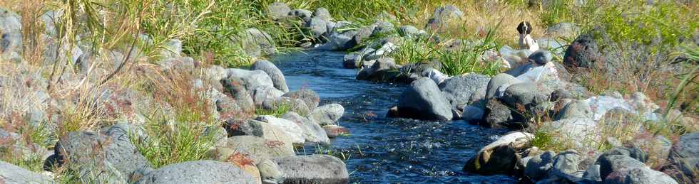 30 aot 2015 - Rivire St-Etienne - Bras de rive gauche -