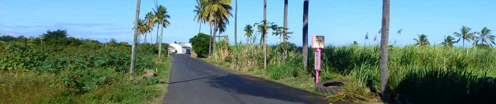 29 juin 2016 - St-Louis - Bois de Nfles Cocos - Moulin  mas - Balance