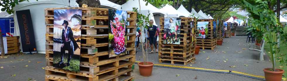 7 octobre 2016 - St-Pierre - Jardins de la plage - Mtamorphose - Mon quartier sans clich - Expo photo