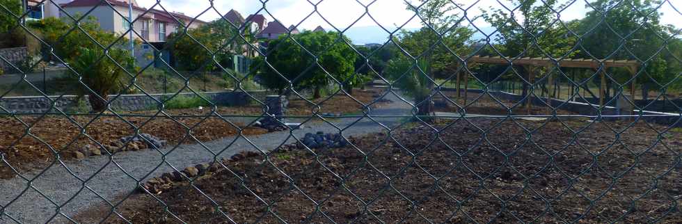 20 novembre 2016 - St-Pierre - Bois d'Olives - Jardins collectifs