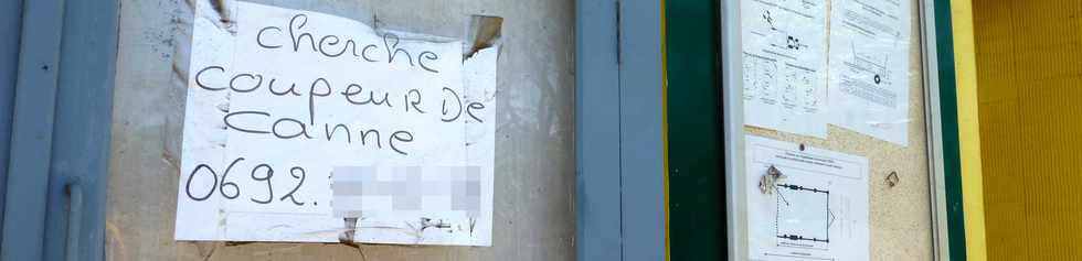 8 dcembre 2016 - St-Pierre - Balance des Casernes - Fin de campagne sucrire