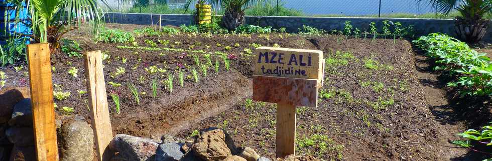 16 mars 2017 - St-Pierre - Bois d'Olives - Jardins partags - Association Jeunesse Cambrai