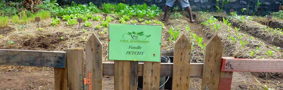 2 avril 2017 - St-Pierre - Bois d'Olives - Jardins Partags - Terrain Dambreville -